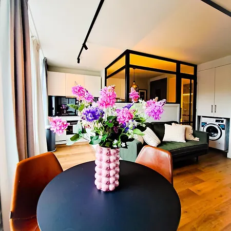 Luxury Center Gem Within Walking Distance To Must-sees Apartment *